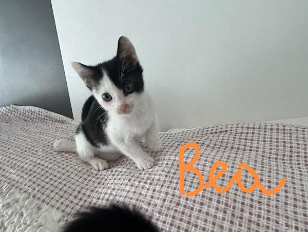Bob e Bea  Foto 4